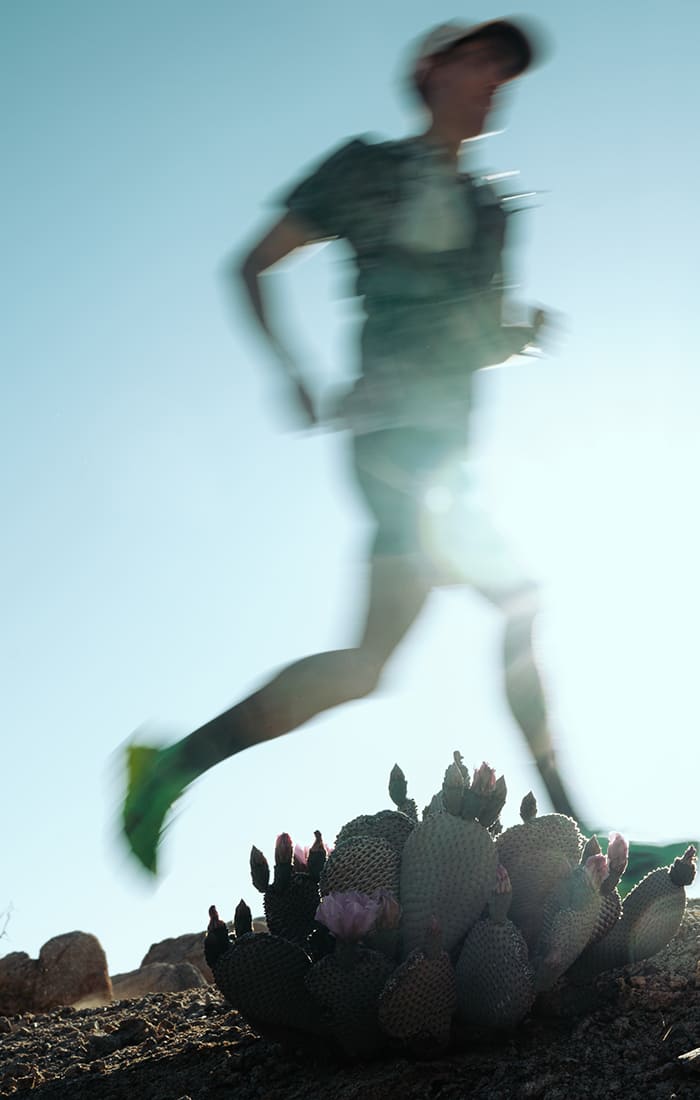 The New Pace of APEX