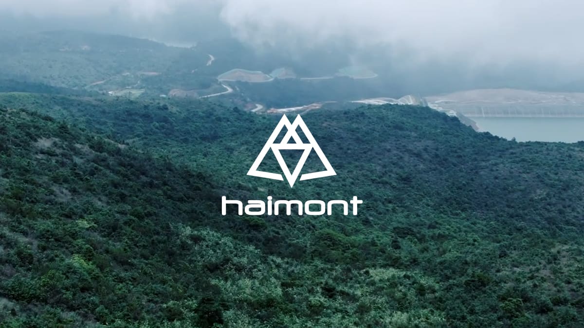 Load video: haimont