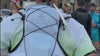Unisex UltraLight 8L Trail Running Vest Video